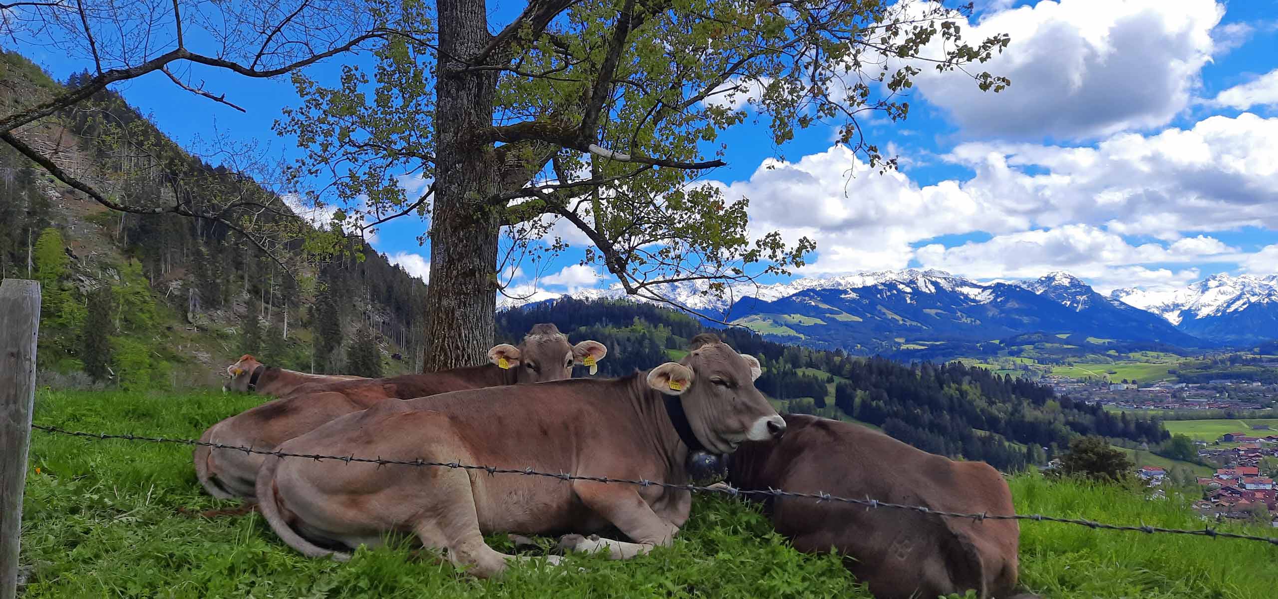 Schöne Wanderungen mitten in den Bergen